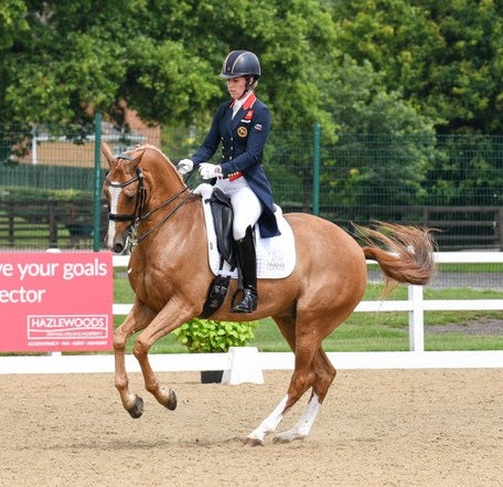 Fairfax Bridles - developed, designed and handmade in the UK