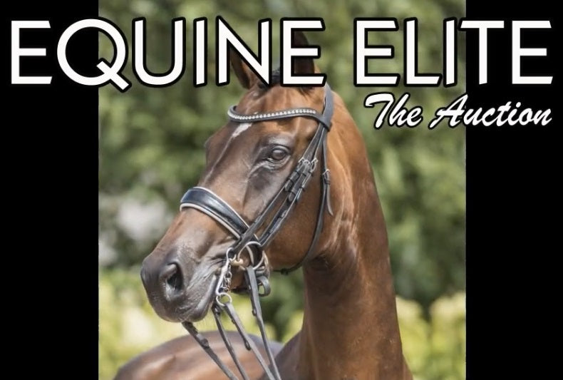 Join us at Equine Elite Auction - the Event of the Year! 26th October 2024