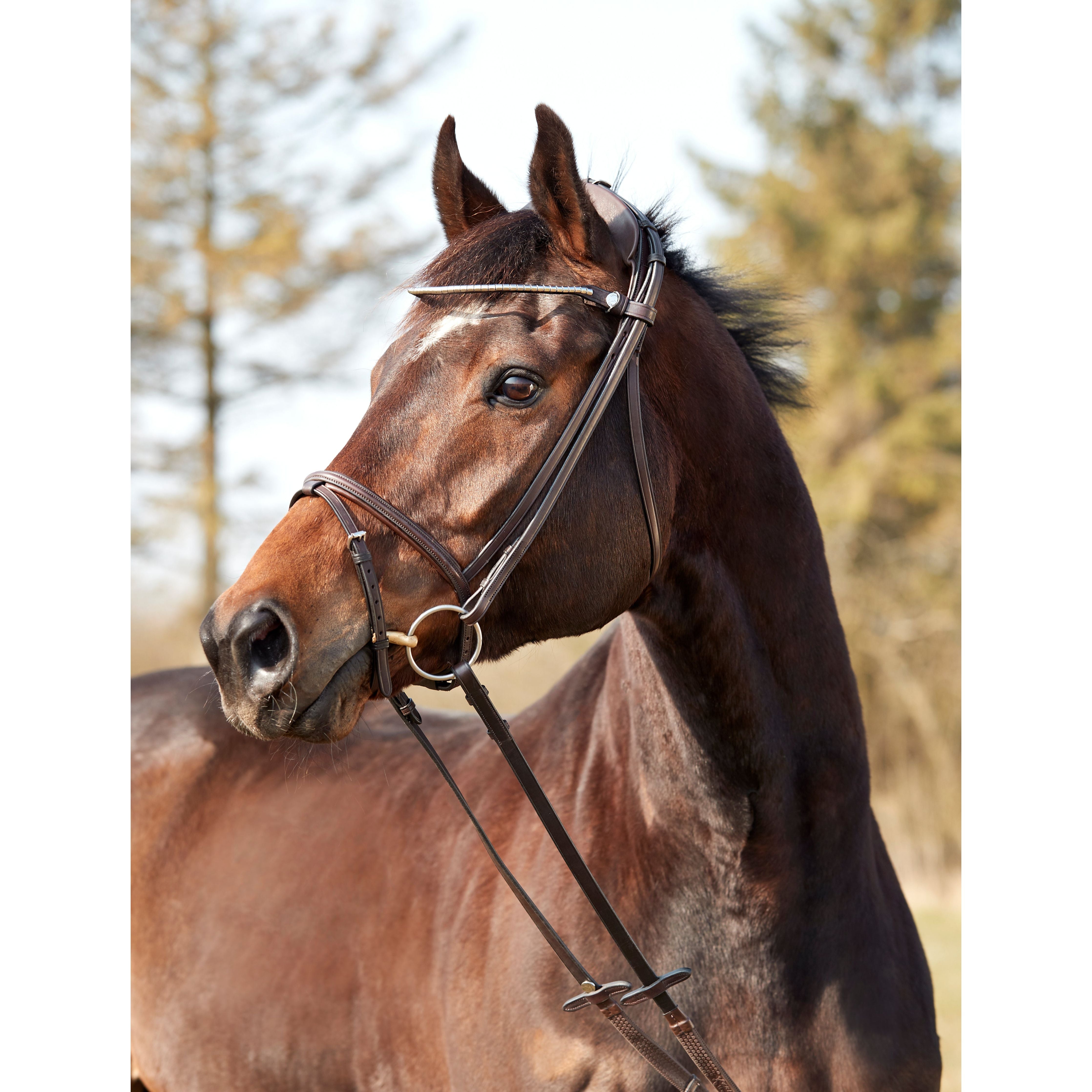 Finesse Zorro Snaffle Bridle