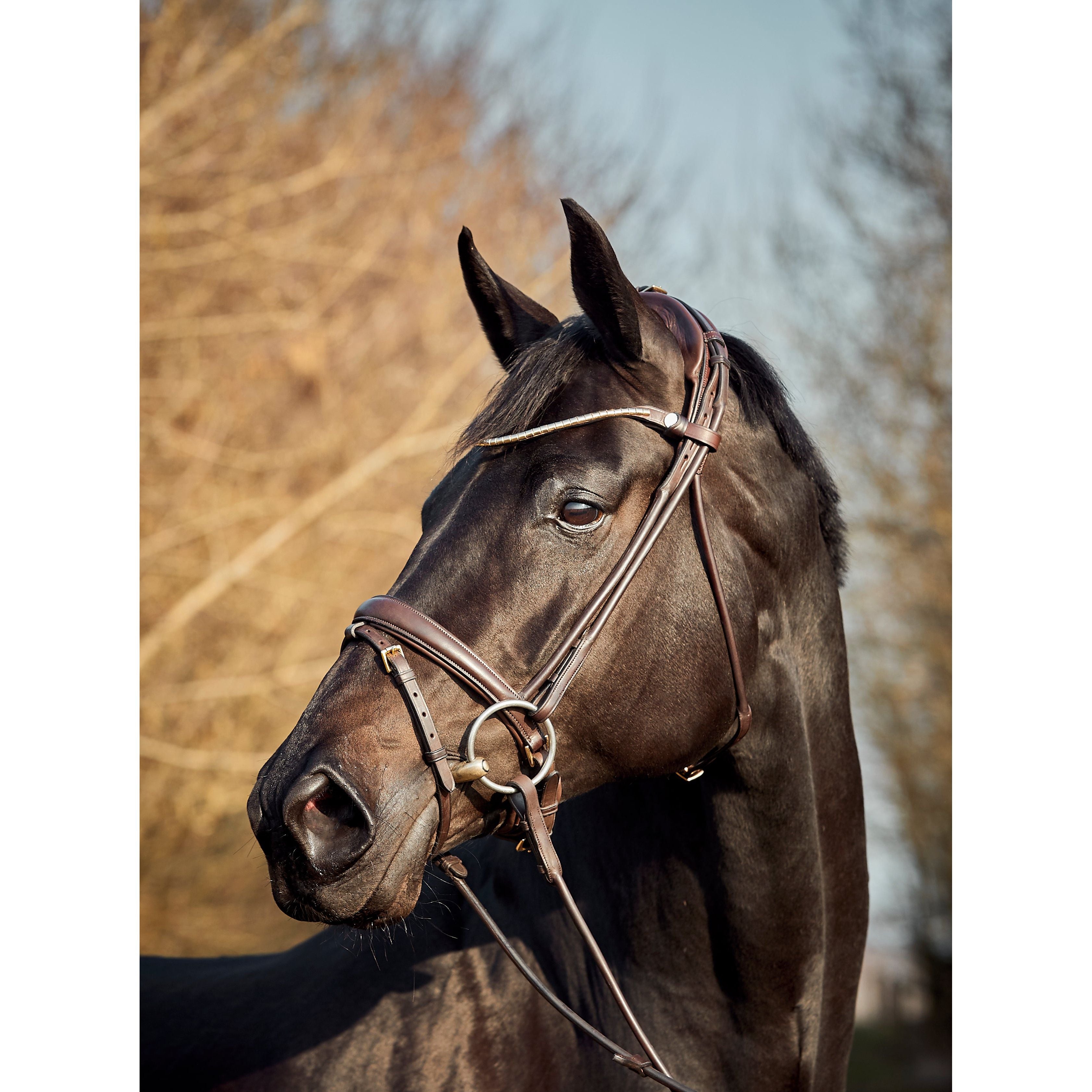 Finesse Himalaya Snaffle Bridle