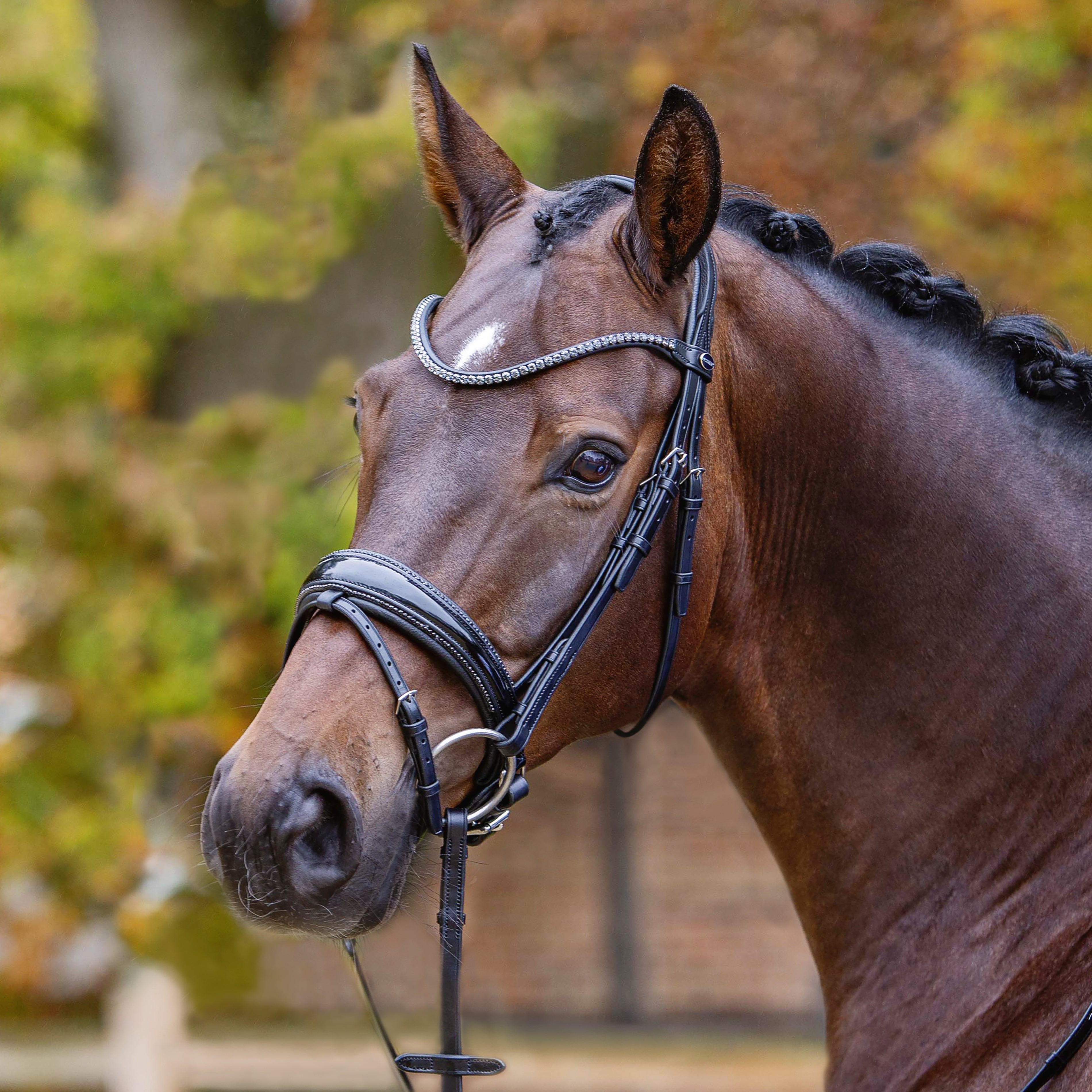 Passier Shadow Snaffle Bridle with rubber reins- NEW
