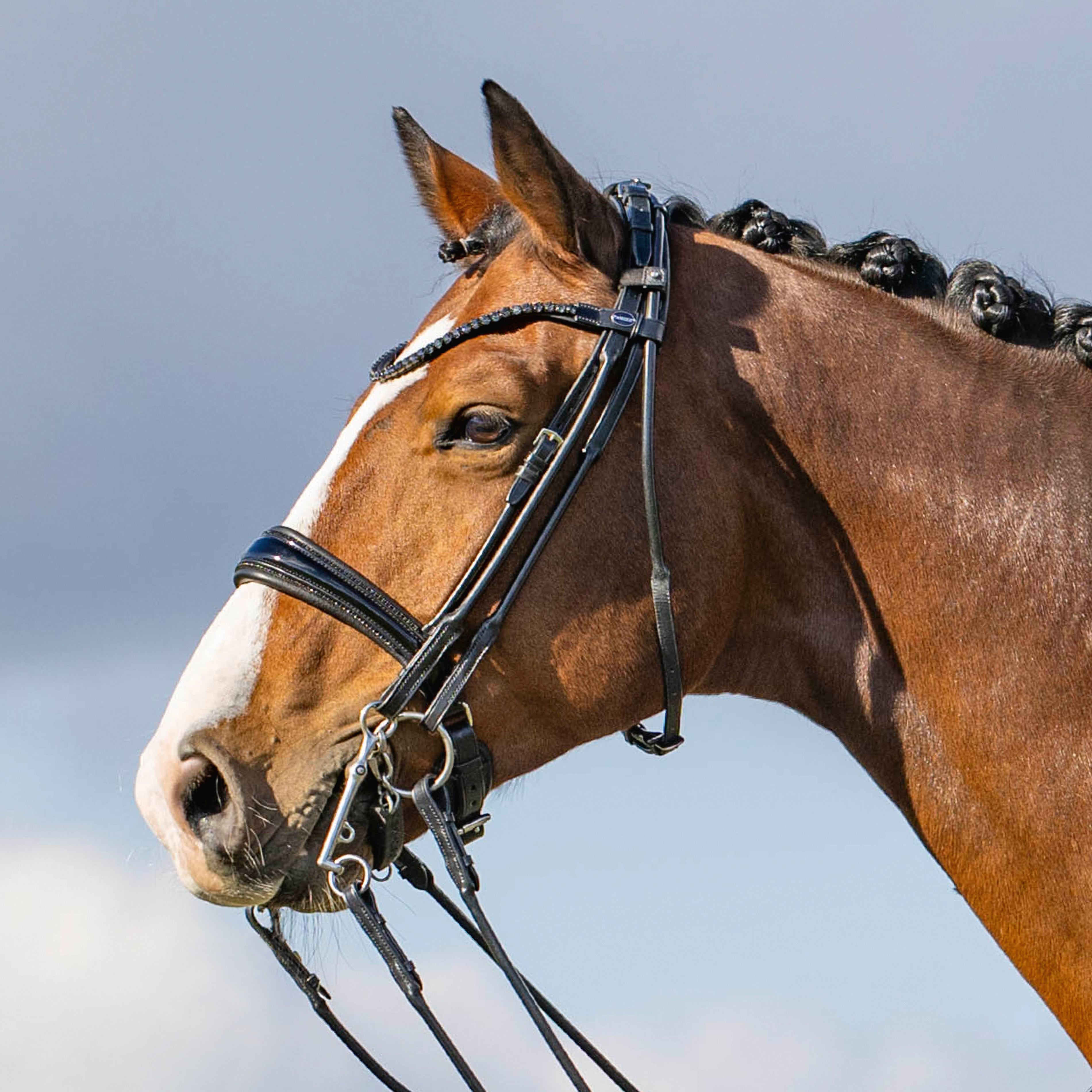 Passier NEW HighScore Rolled Double Bridle - with reins