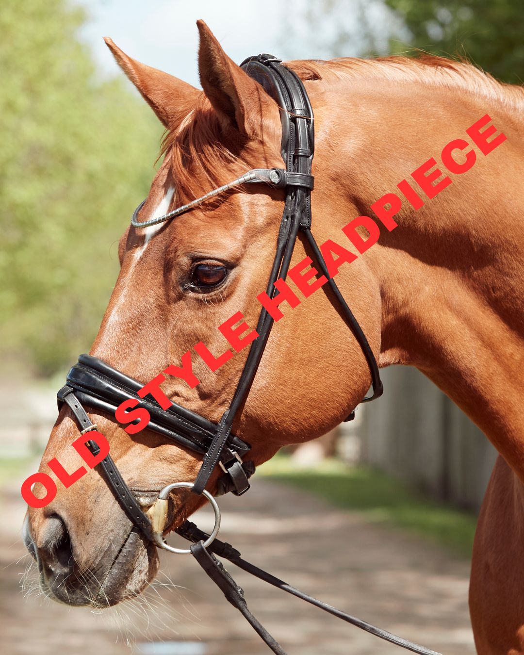 Finesse Cassidy Snaffle Bridle