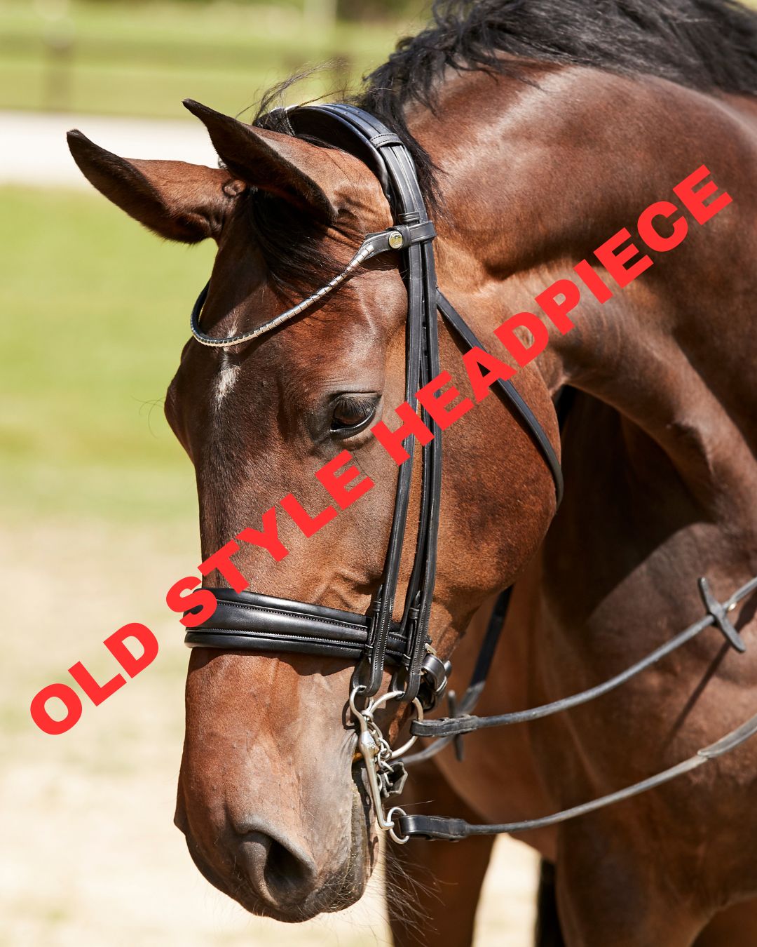 Finesse Cayenne Double Bridle