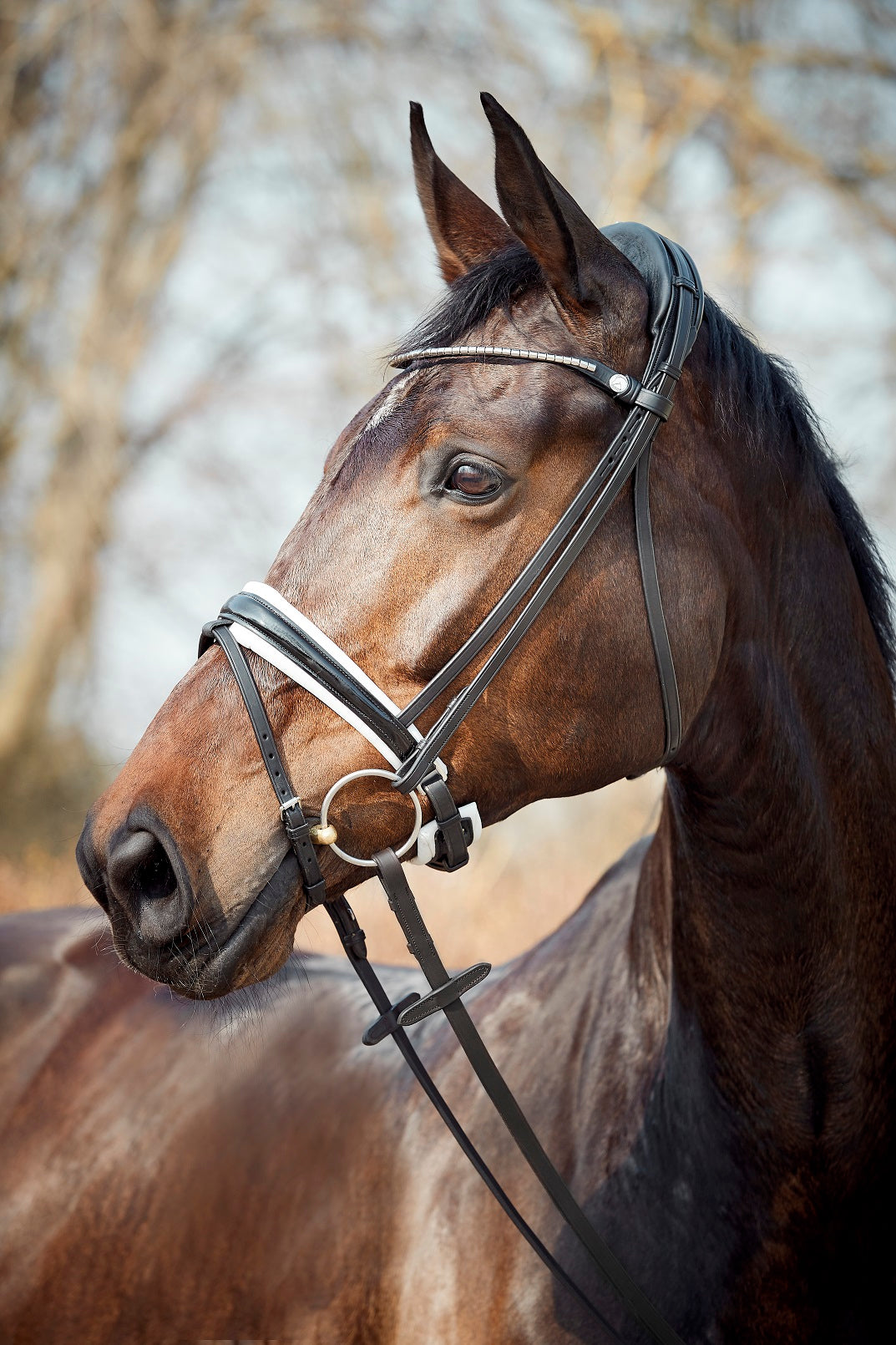 Finesse Cayenne Snaffle Bridle NEW