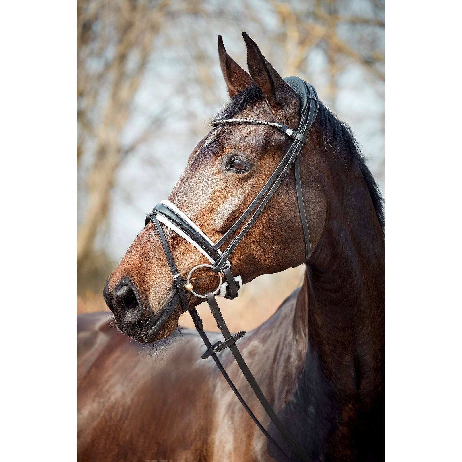 Finesse Cayenne Snaffle Bridle NEW