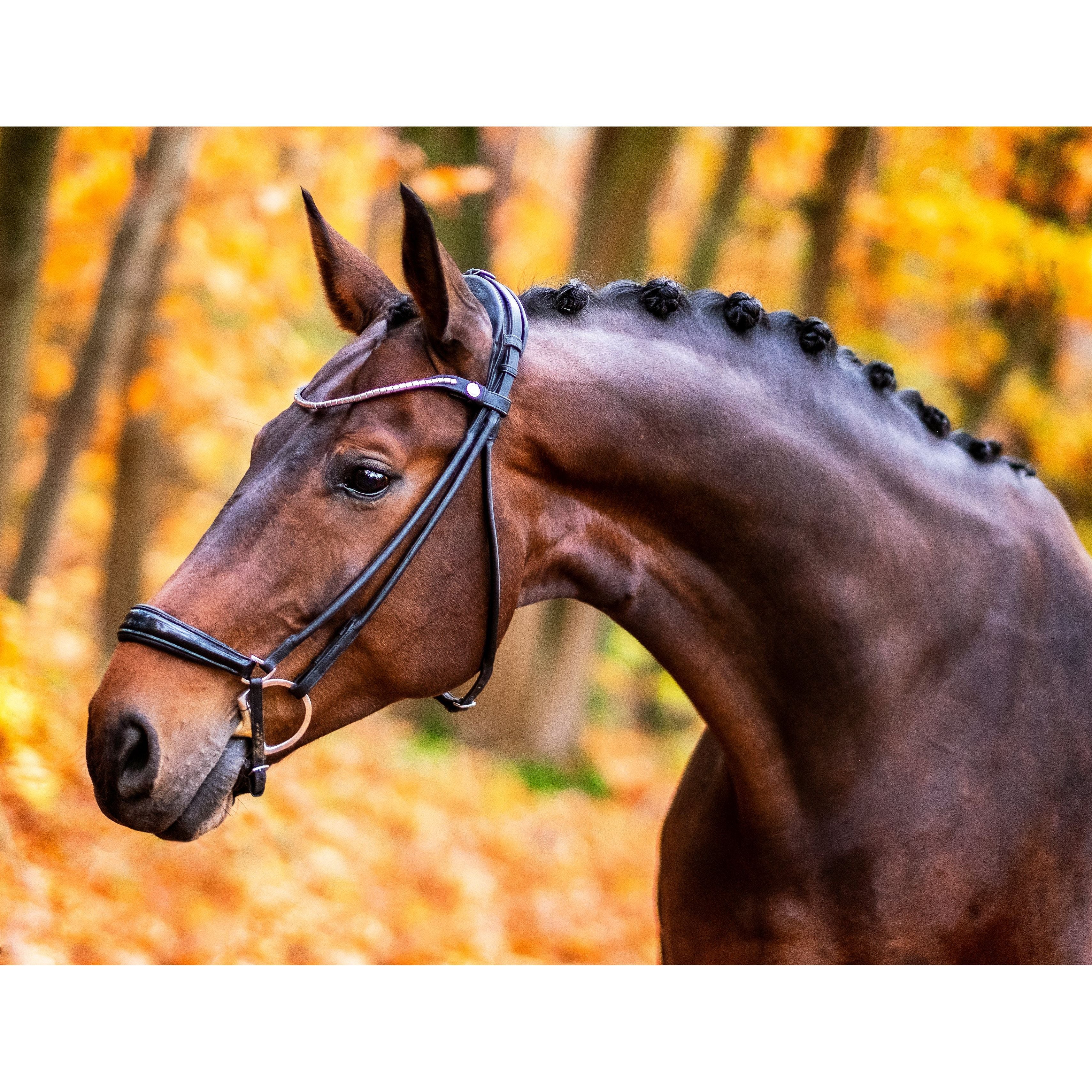 Finesse Spirit Drop Noseband Bridle