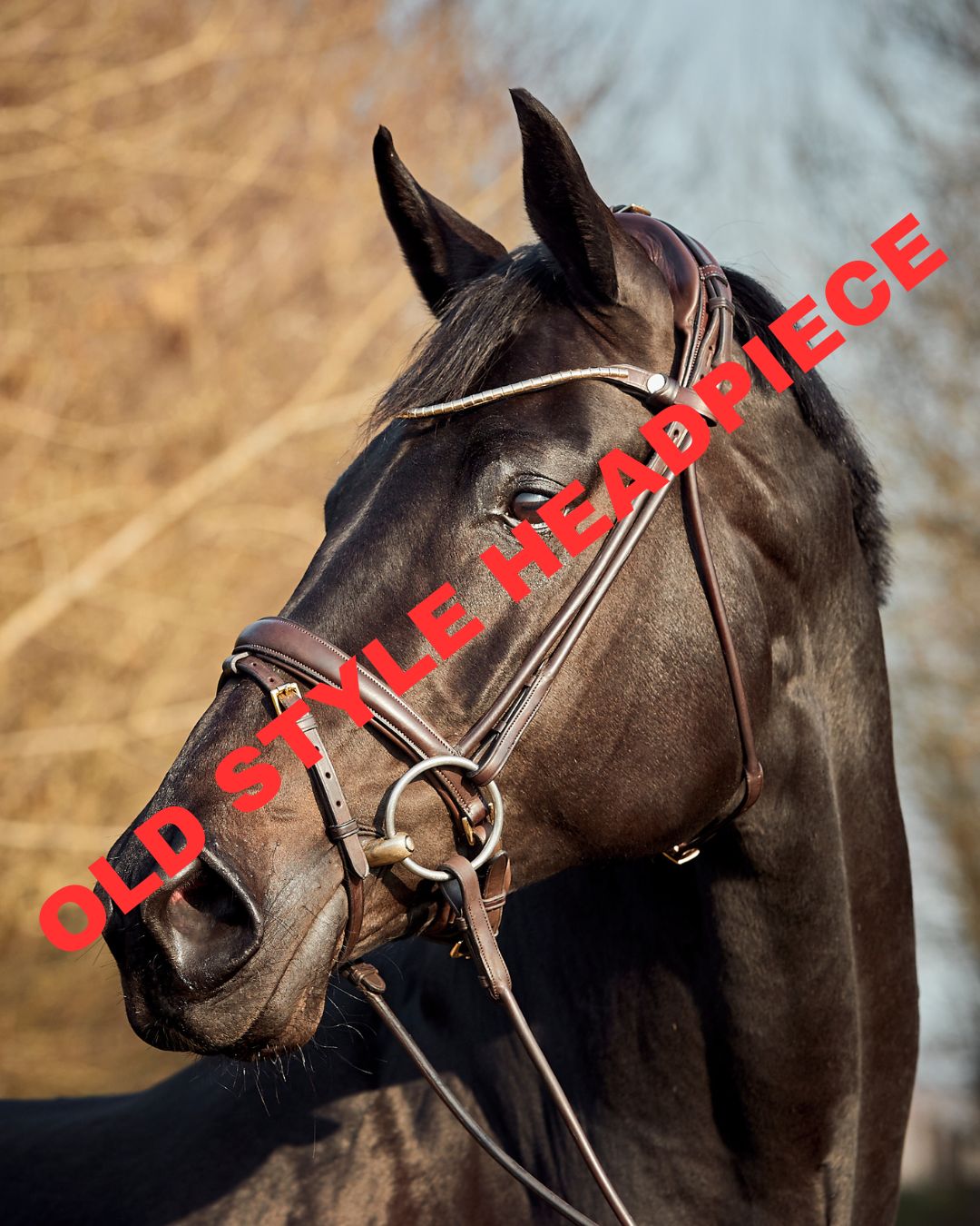 Finesse Himalaya Snaffle Bridle