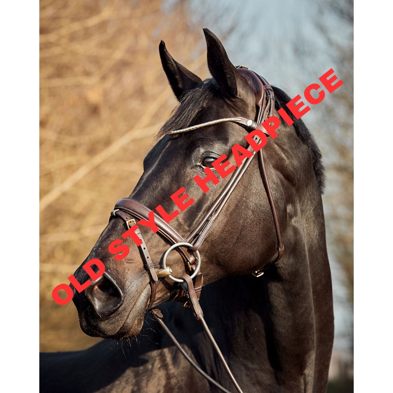 Finesse Himalaya Snaffle Bridle