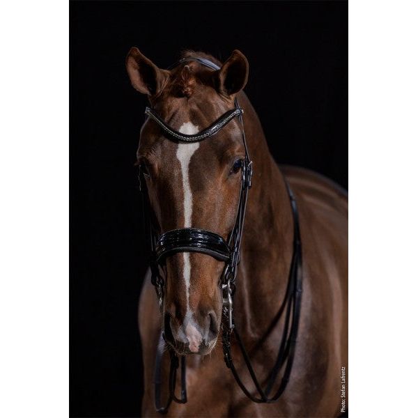 Schockemohle Milan Glam Double Bridle