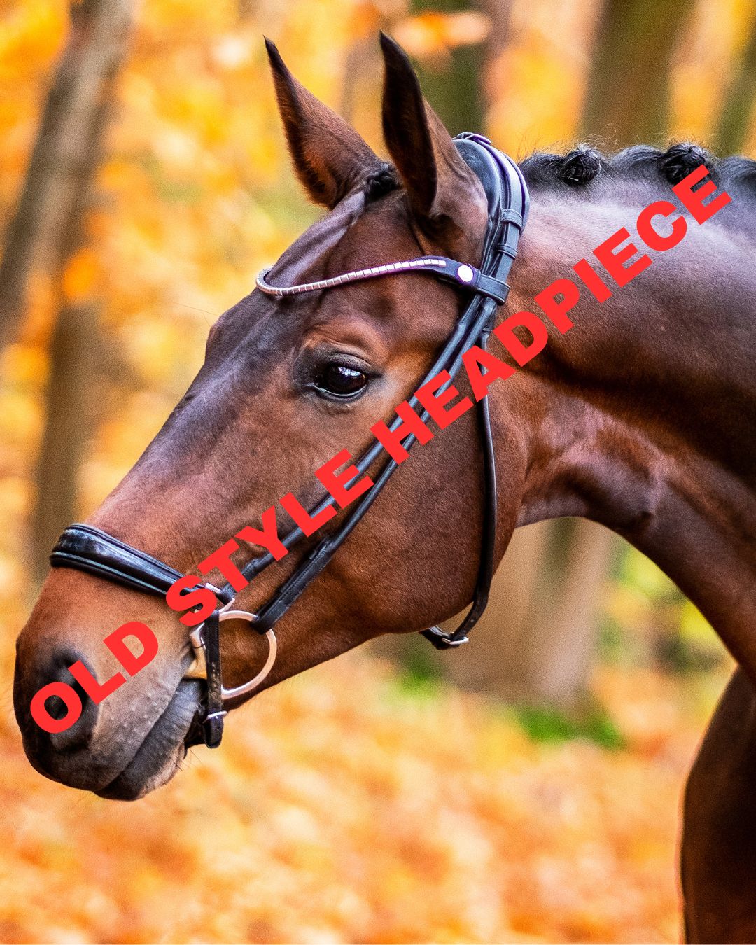 Finesse Spirit Drop Noseband Bridle