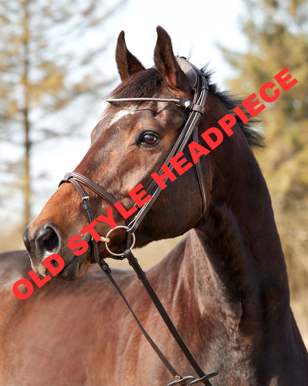 Finesse Zorro Snaffle Bridle