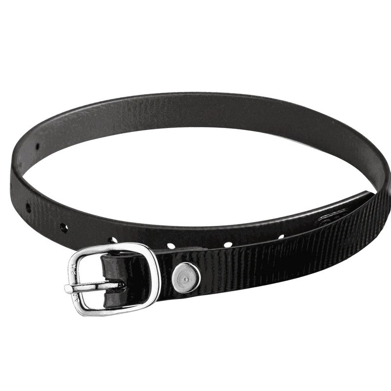 Sprenger 49197 Biothane Spur Straps 'Glossy'