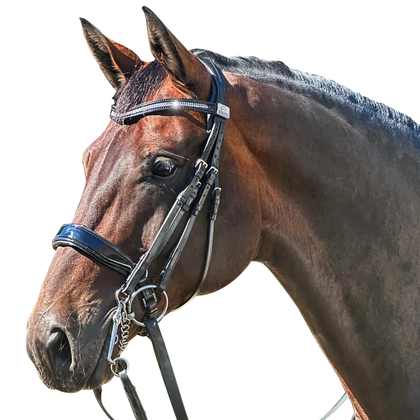 Fairfax Double Bridle - Black Patent