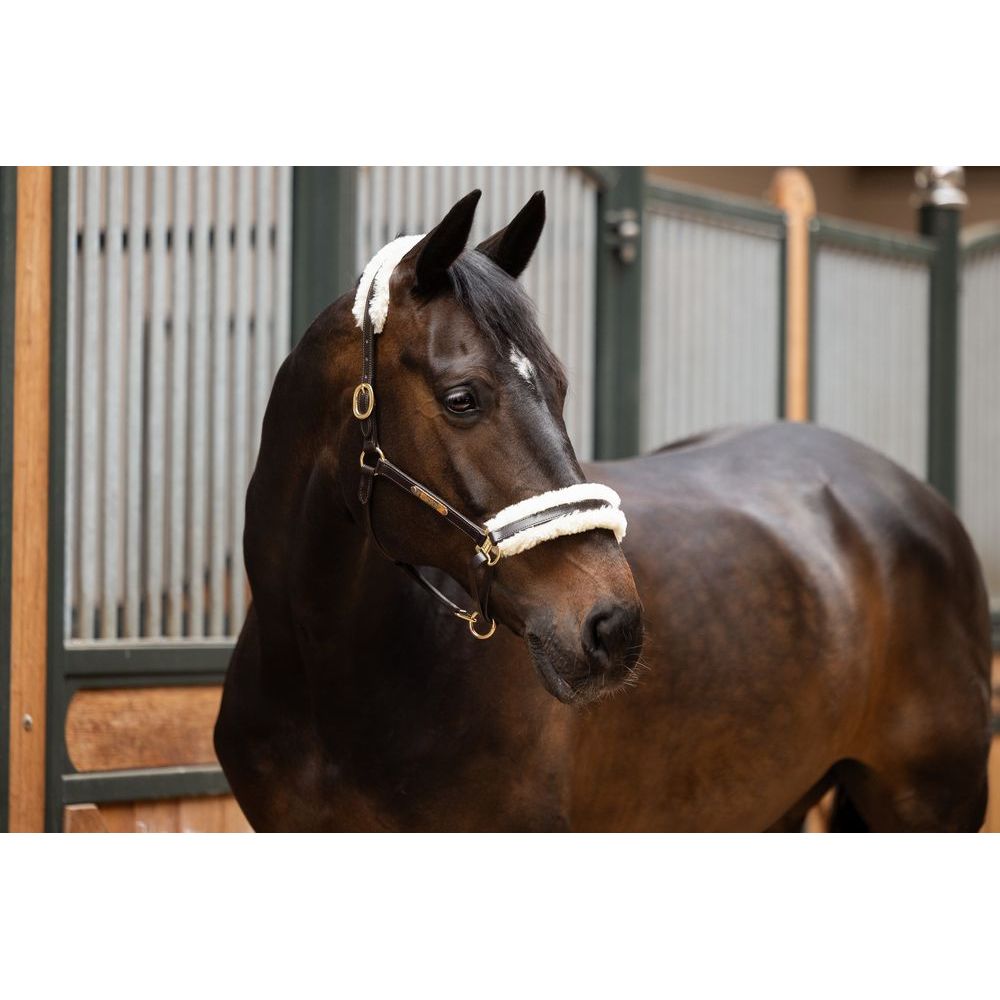 Eskadron FauxFur Padding set for Leather Elegance Headcollar