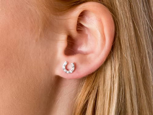 Stirrup & Lead - Sterling Silver CZ horseshoe Studs