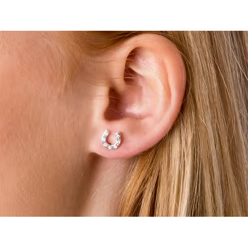 Stirrup & Lead - Sterling Silver CZ horseshoe Studs