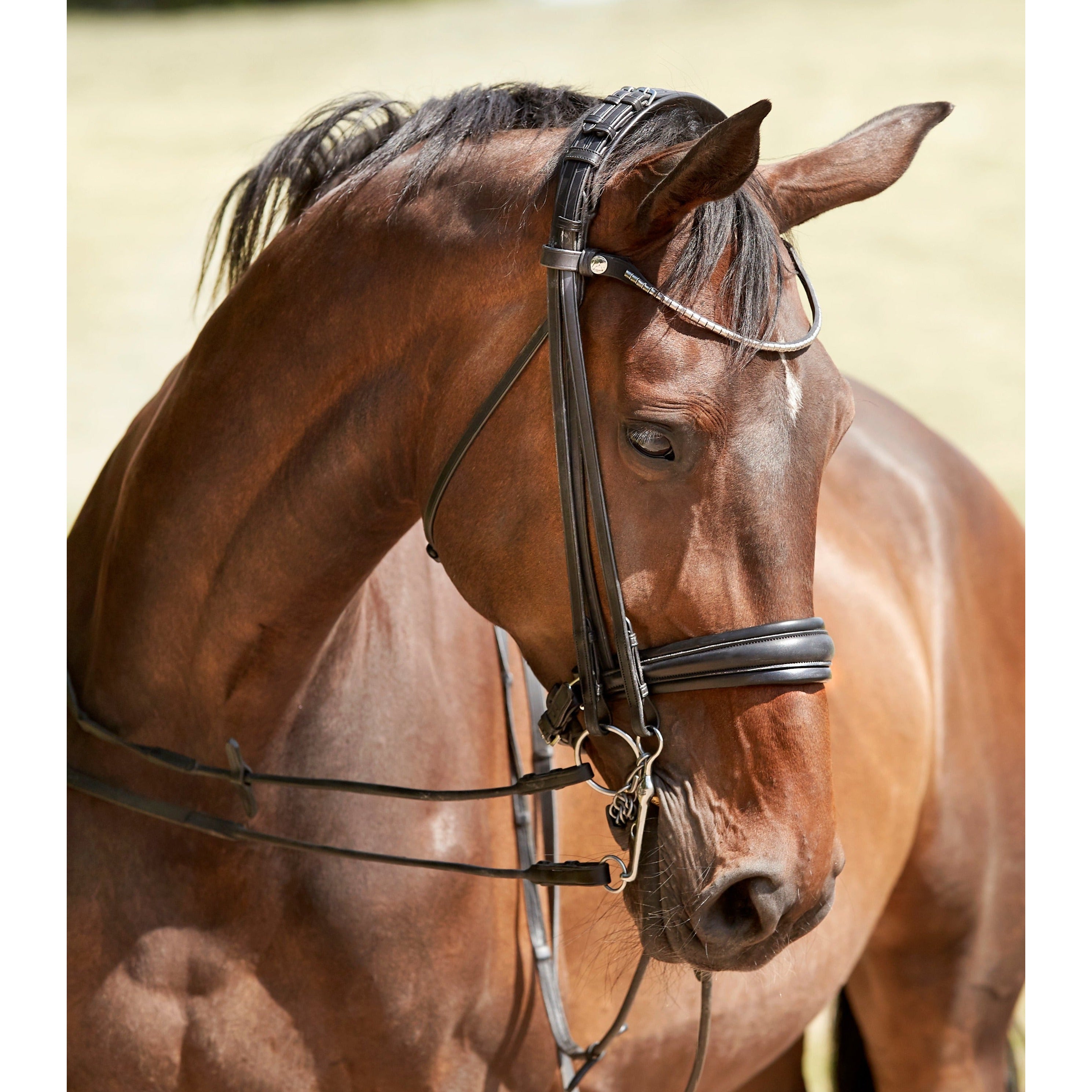 Finesse Cayenne Double Bridle