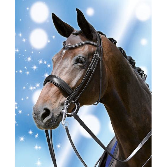 Selle de Dressage Passier & Sohn Hannover Selle de Dressage Passier & Sohn Hannover