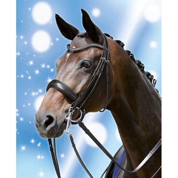 Passier Blu Dream Double Bridle