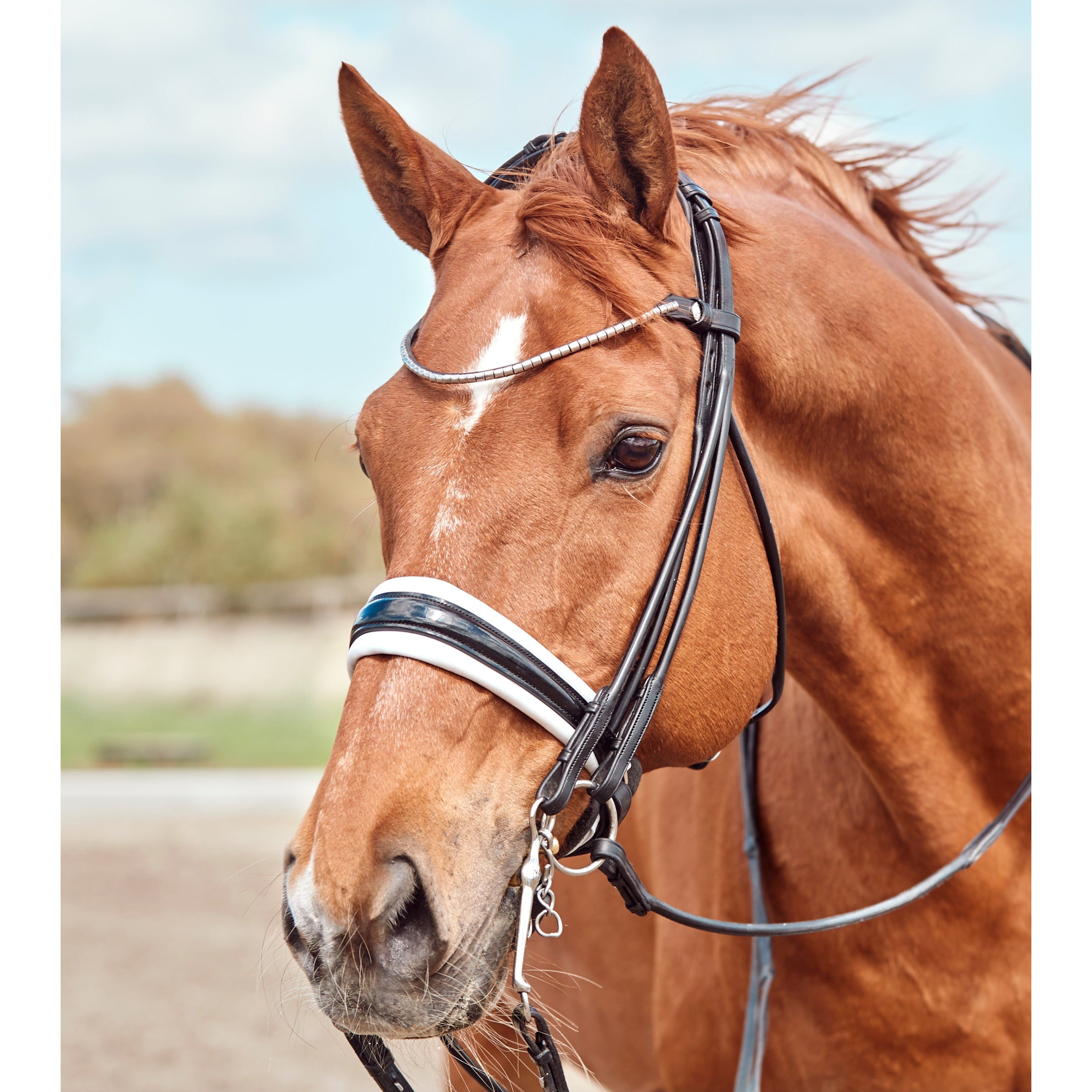 Finesse Cassidy Double Bridle