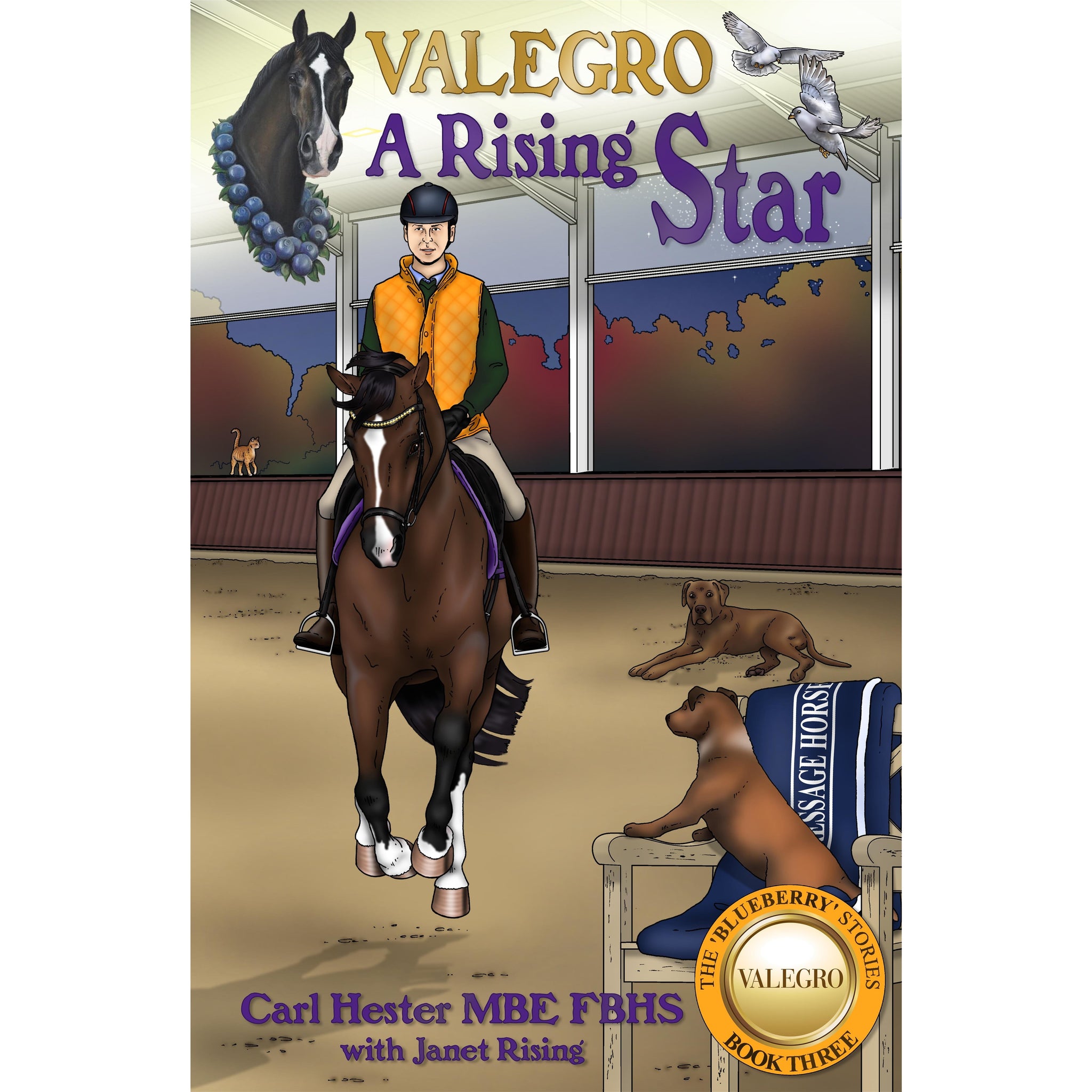 The Blueberry Stories Book 3 A Rising Star
