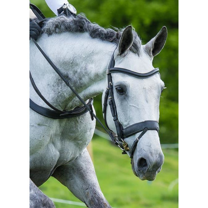 Fairfax Snaffle Bridle - Flash