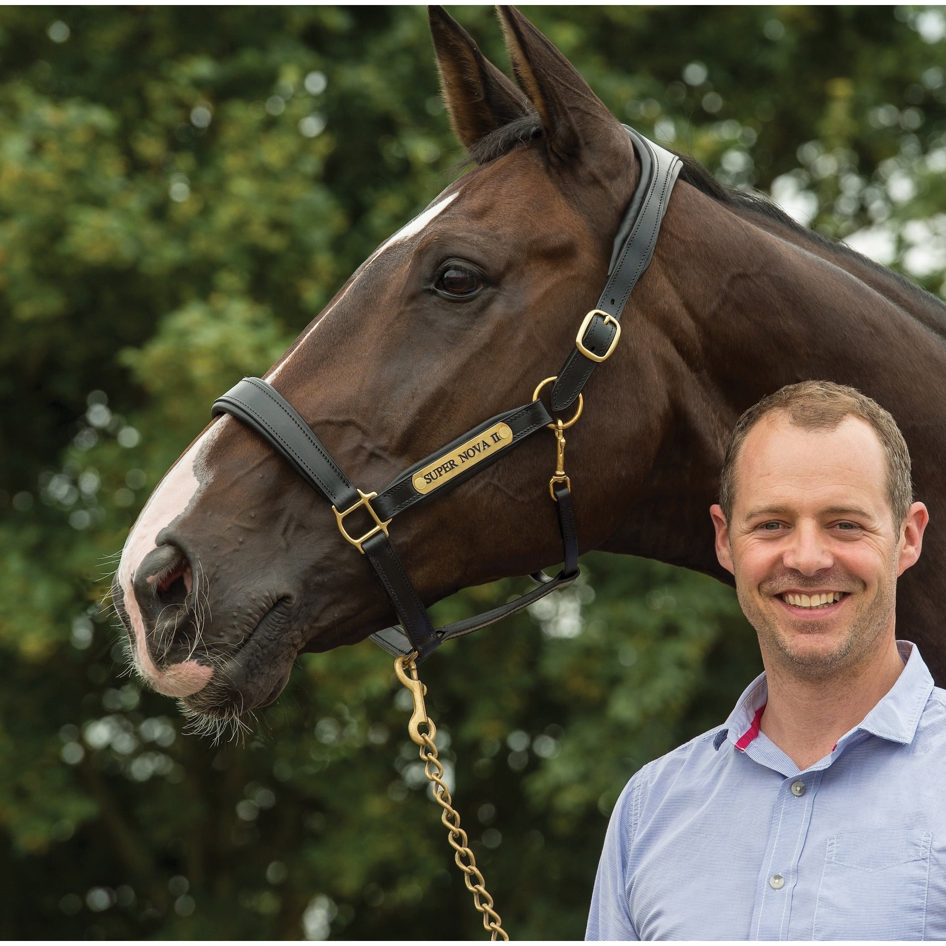 Fairfax Rio Leather Headcollar