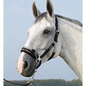 Eskadron Control Headcollar - Pin Buckle