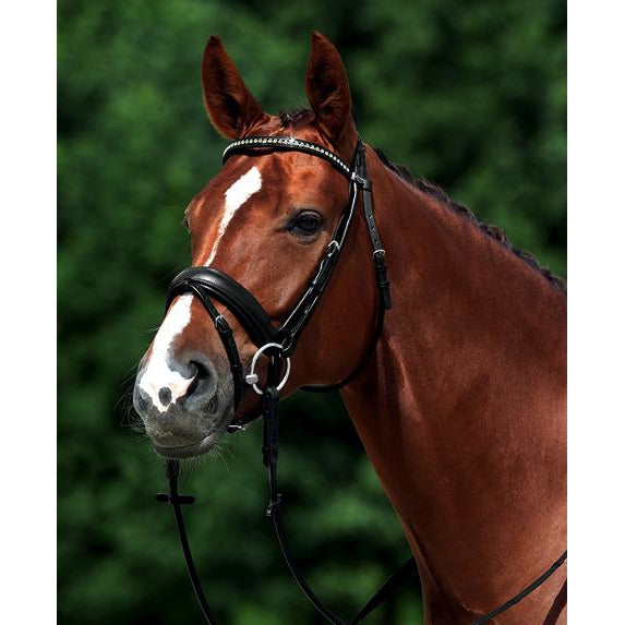 Passier Neptune Bridle - Cob and Full