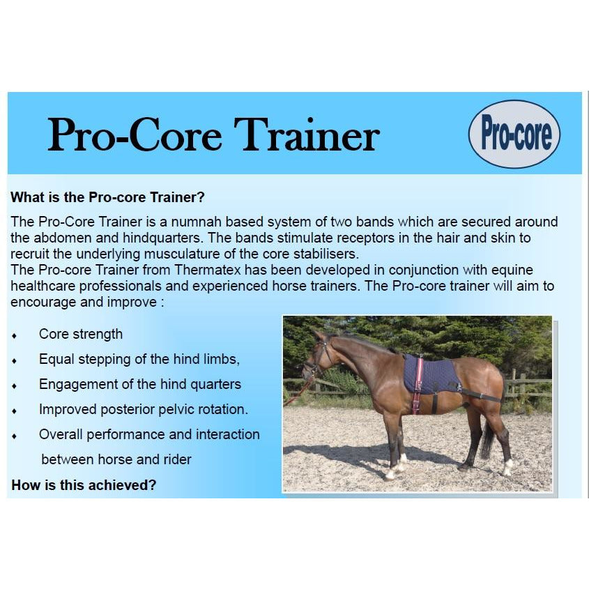 Thermatex Pro Core Trainer