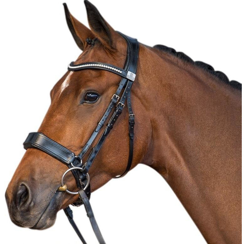 Fairfax Snaffle Bridle - Cavesson