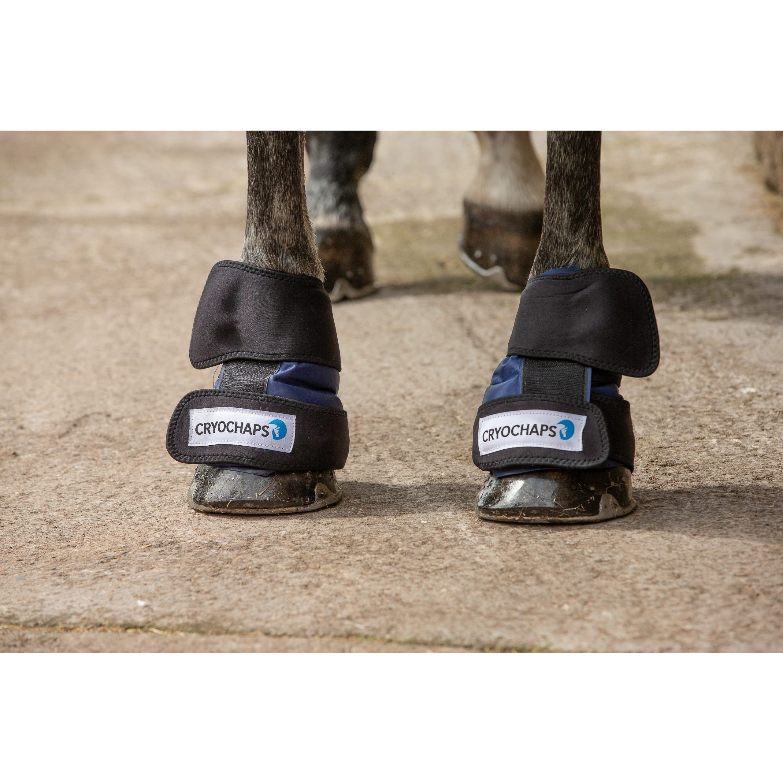 Cryo Chaps Absolute Wrap - Pair