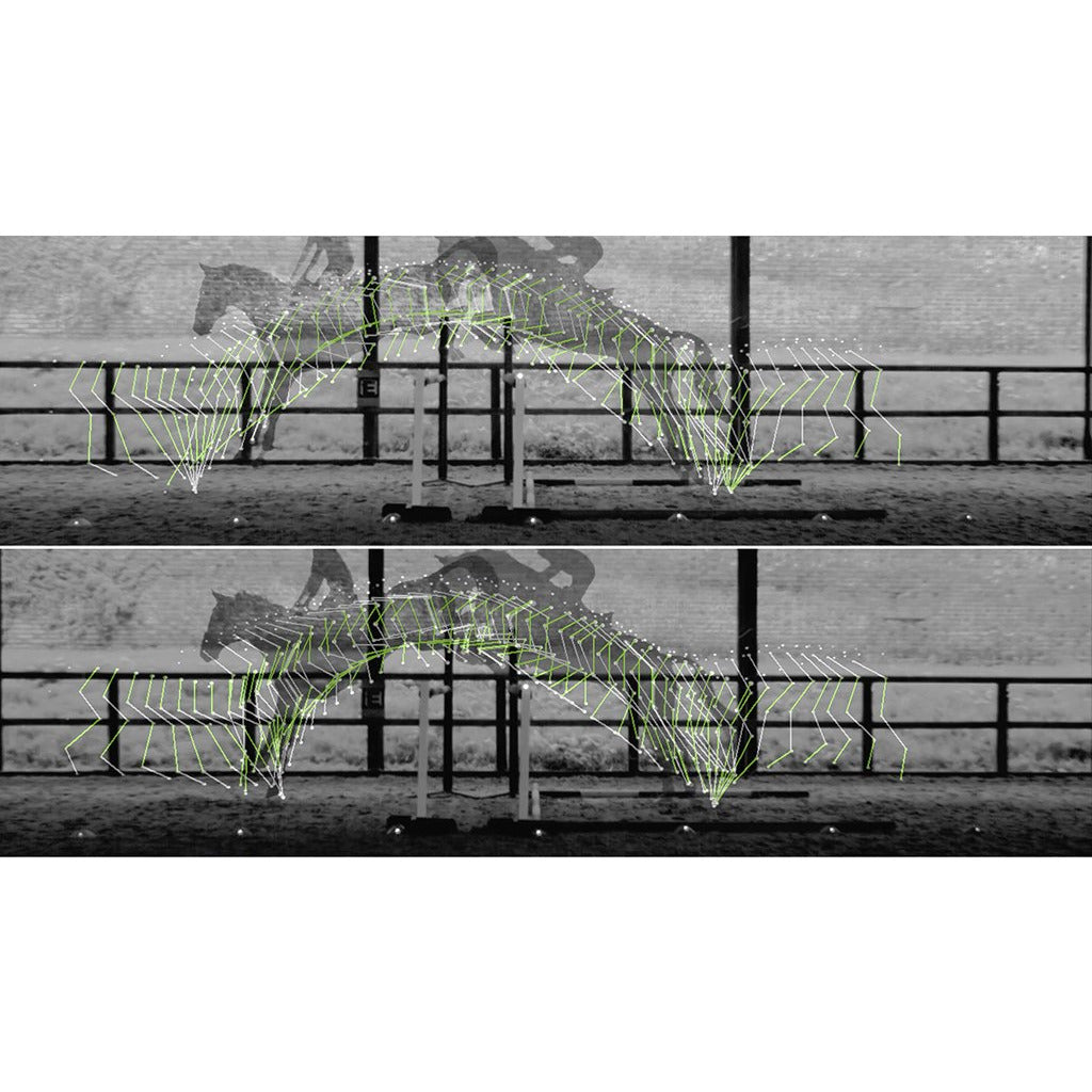 Fairfax Breastplate