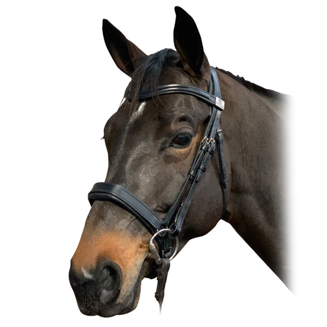 Fairfax Snaffle Bridle - Cavesson Narrow Noseband