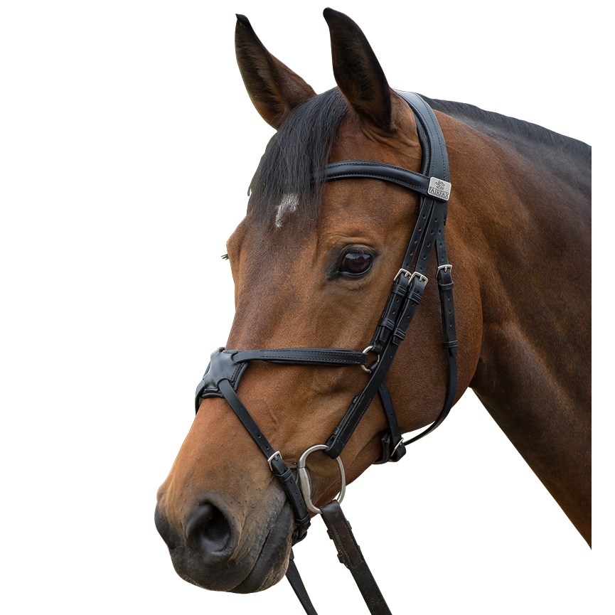 Fairfax Snaffle Bridle - Grackle