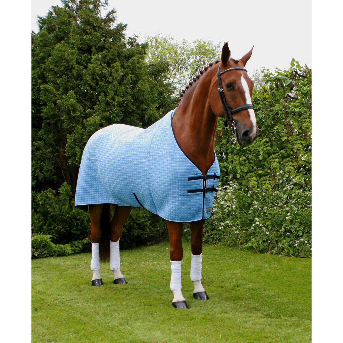 Thermatex T2000 Rug - 3 week production time