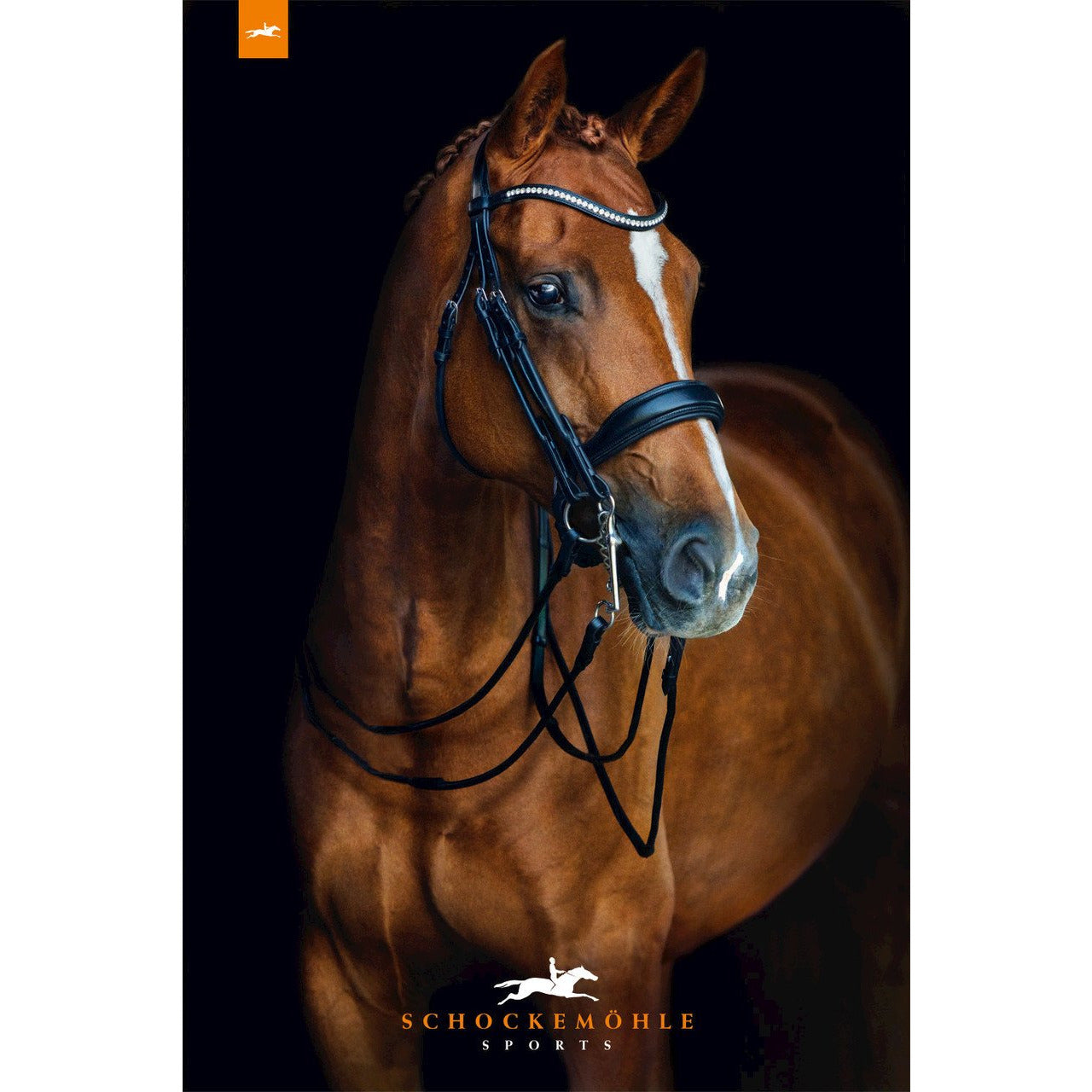 Schockemohle Venice Double Bridle