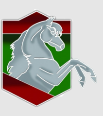 Join us at Equine Elite Auction - the Event of the Year!  31st October 2026