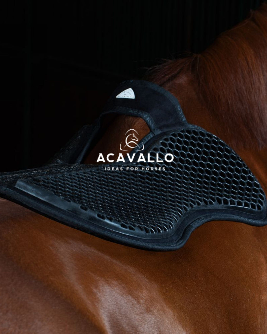 Acavallo from Italy ... find products to help you!
