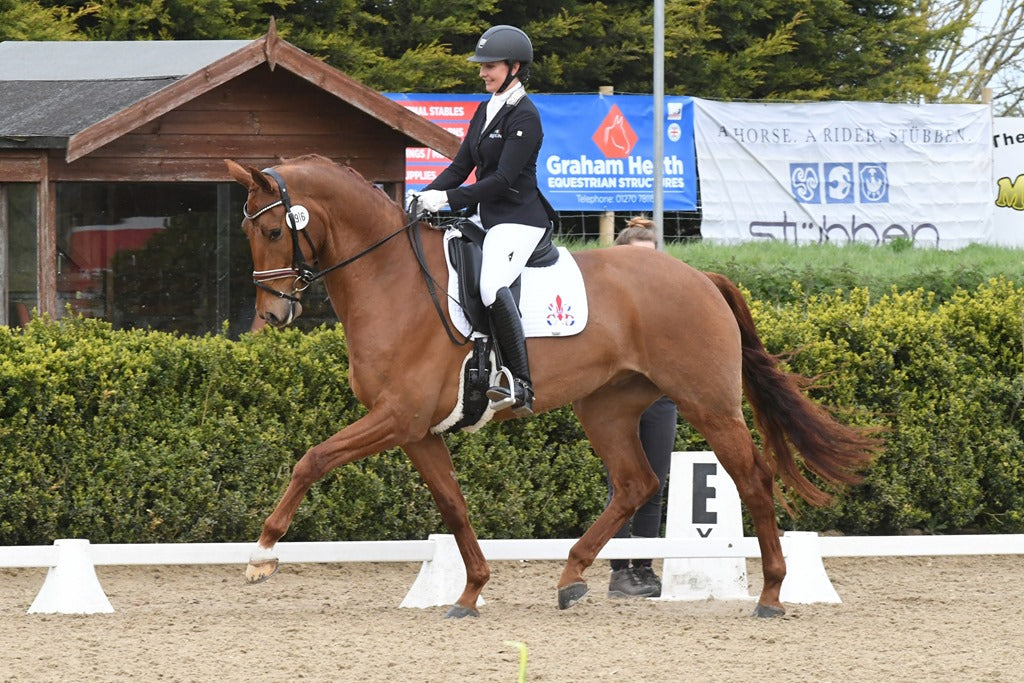 Some horses found by specialist Rebecca Hughes at Classic Dressage