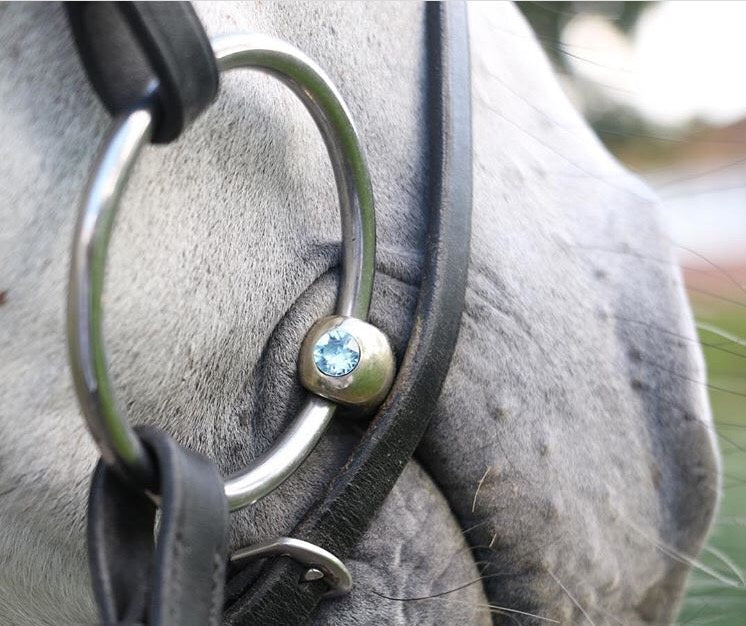 Sprenger Bitting Webinar