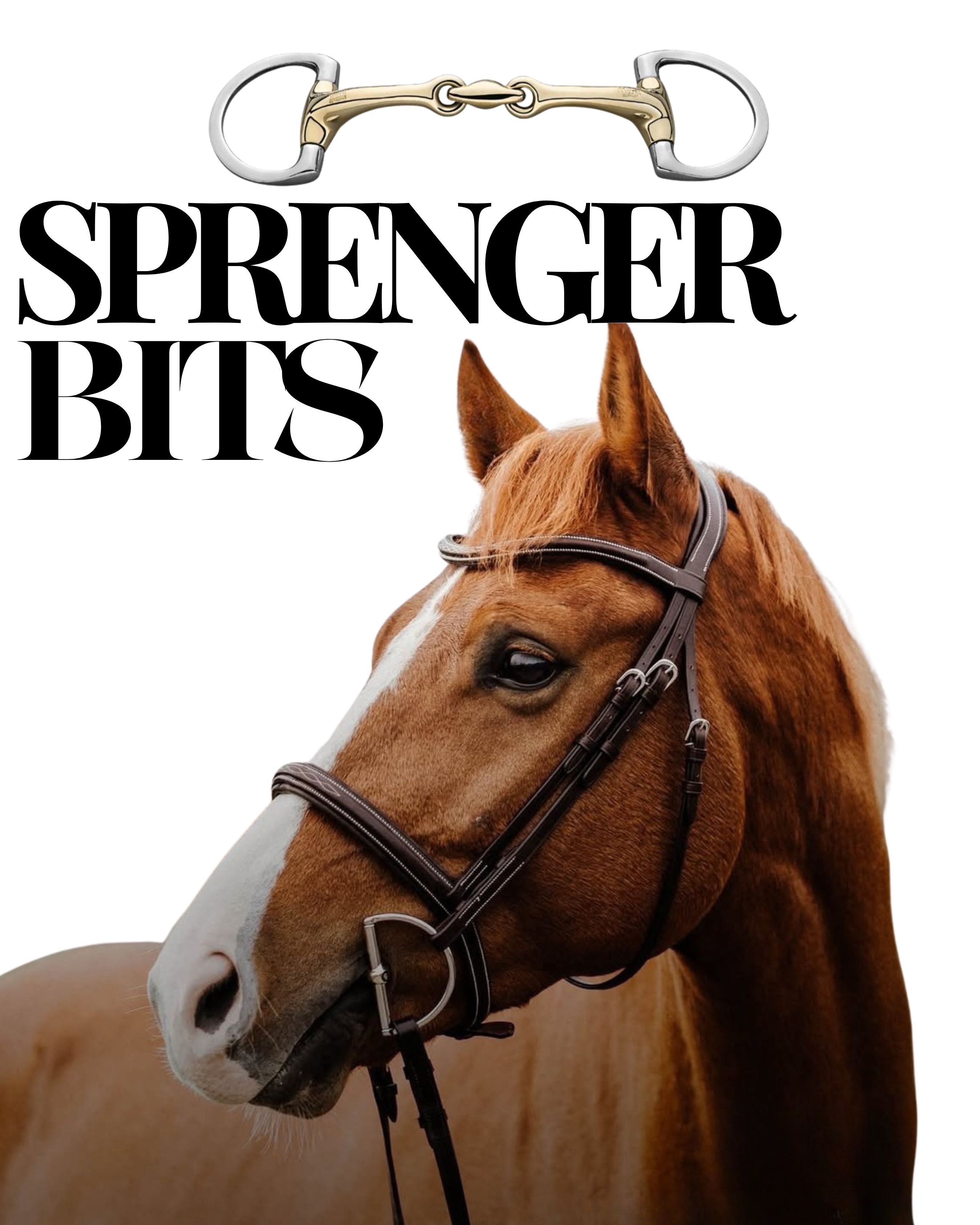 Sprenger Bits