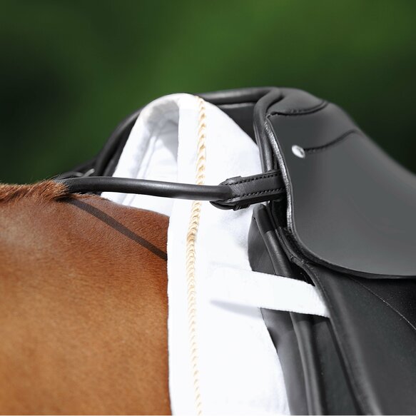 Passier Balance Strap