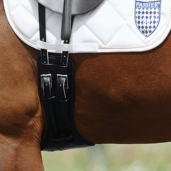 Passier Anatomical Dressage Girth