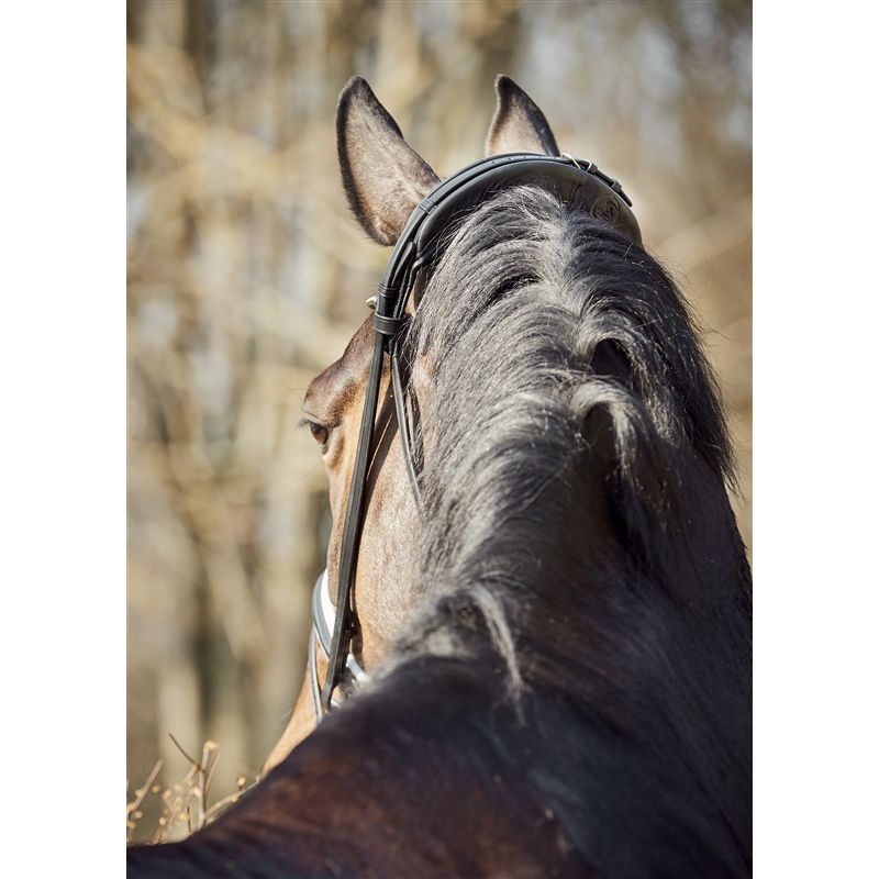 Finesse 2.0 Cayenne Snaffle Headpiece ONLY