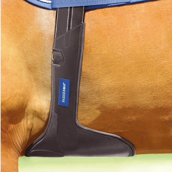 Passier Blu protect stud girth