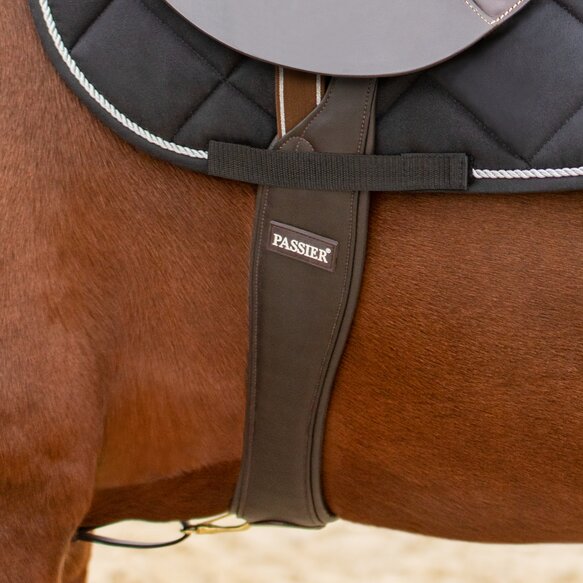 Passier Dynamic Long Girth