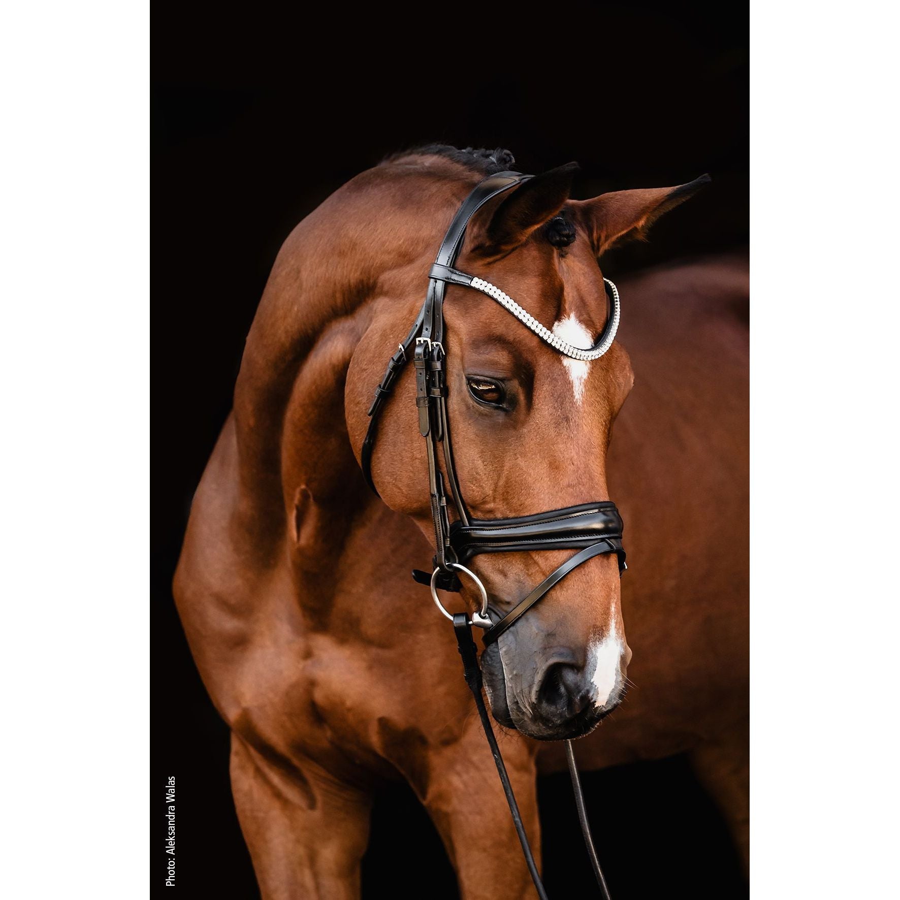 Schockemohle Johnny Snaffle Bridle- due next week