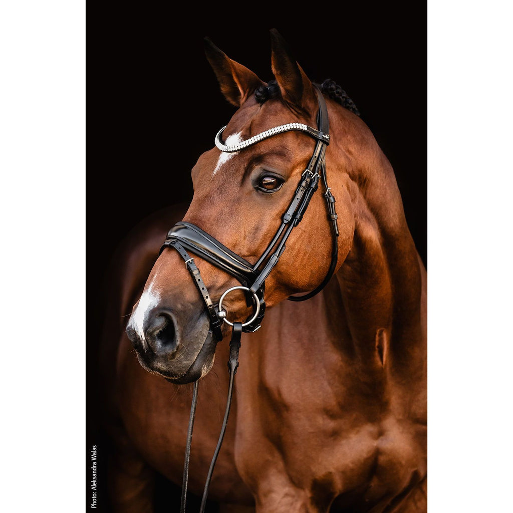 Schockemohle Johnny Snaffle Bridle- due next week